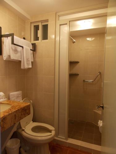 a bathroom with a shower with a toilet and a sink at Hotel Real de Leyendas in Guanajuato
