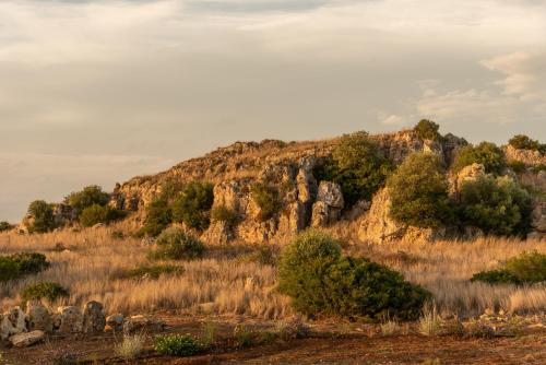 a hill with rocks and trees in a field at MASSERIA SCALEDDA in Manduria