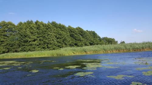 Fotografie z fotogalerie ubytování Ośrodek Wypoczynkowy Soszko v destinaci Swornegacie