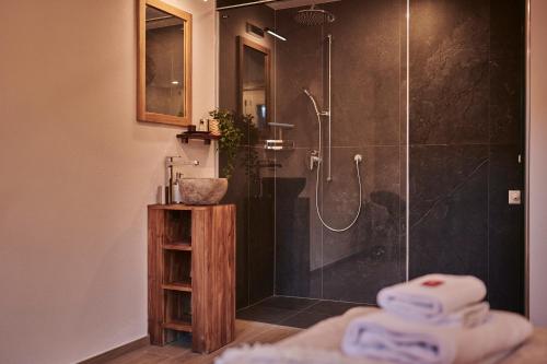 baño con ducha y puerta de cristal en Bielholz en Grindelwald