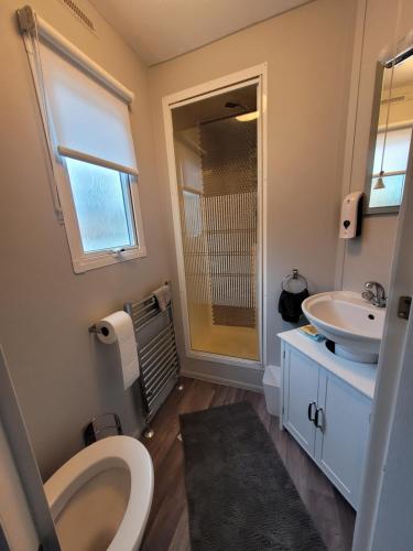 a bathroom with a toilet and a sink at Cairnryan Heights 2 Bed caravan holiday home in Stranraer