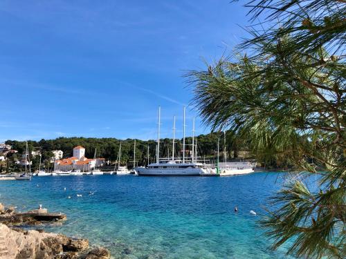 a view of a marina with boats in the water at Villa Nature Forever in Maslinica