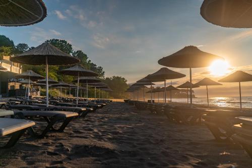 a beach with chairs and umbrellas on the beach at Atik Hotel in Unye