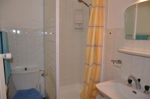 a bathroom with a shower and a toilet and a sink at Immeuble Les Ecureuils in Les Collons