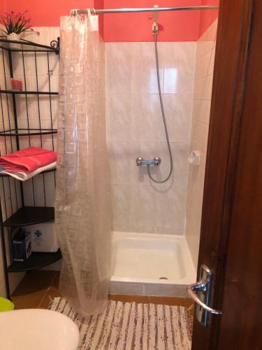 a shower with a shower curtain in a bathroom at Atico Las Palomas in Santa Cruz de la Palma