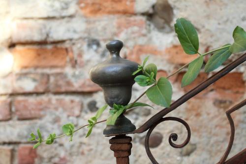 a black iron fence with a plant on it at La tour Bocsozel in La Côte-Saint-André