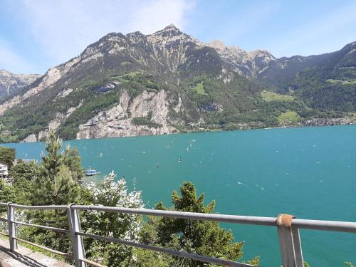 a view of a lake with mountains in the background at Hotel Urirotstock in Isenthal