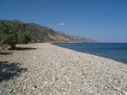 une plage rocheuse avec des arbres au bord de l'eau dans l'établissement Camping Paleochora, à Paleóchora