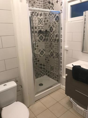 ein Bad mit einer Dusche, einem WC und einem Waschbecken in der Unterkunft Le bien venue chez vous in Calais