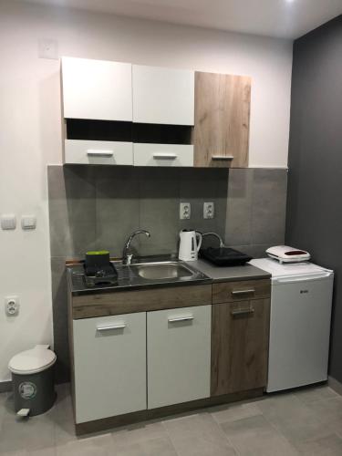 a kitchen with a sink and a counter top at Aphrodite Hills Apartments-Stara Planina in Crni Vrh