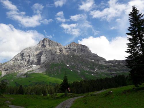 a mountain in the middle of a green field at Hotel Urirotstock in Isenthal