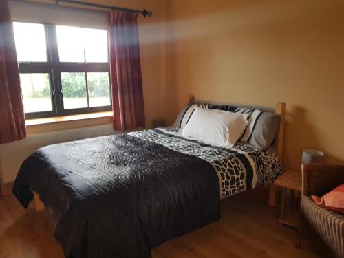 a bedroom with a bed and a window at Rathgillen House in Nobber