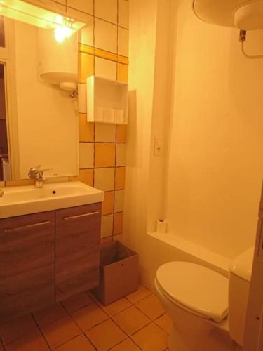 une salle de bain avec des toilettes blanches et un lavabo dans l'établissement Appartement centre Nyons, à Nyons