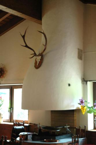 a deer head on the wall of a kitchen at Hotel Restaurant Walserhof in Medels im Rheinwald