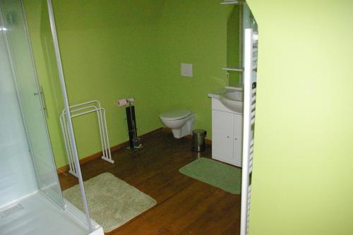 a bathroom with a toilet and green walls at Chambres d'Hotes du Maine in Lalinde