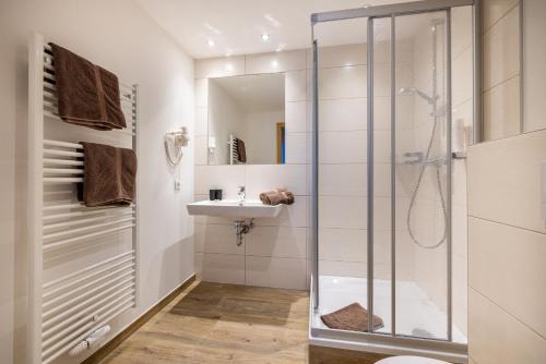 a bathroom with a shower and a sink at Der Alpenblick in Sankt Johann im Pongau