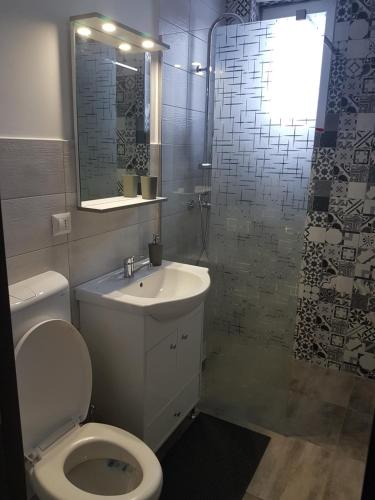 a bathroom with a toilet and a sink and a mirror at La Radu in Lupeni