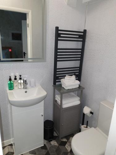 a bathroom with a sink and a toilet and a mirror at The Courthouse in Betws-y-coed
