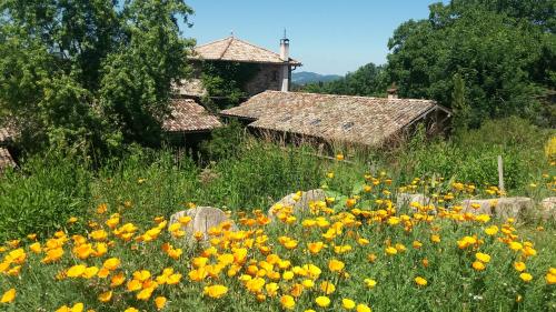 Φυσικό τοπίο κοντά σε αυτό το bed & breakfast