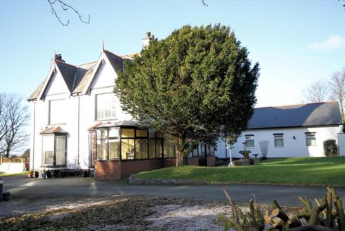 uma grande casa branca com uma árvore em frente em Leahurst Bed and Breakfast em Tywyn