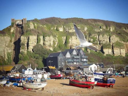 a bird flying over a bunch of boats on the beach at Woodpeckers Cottage B&B in Pett