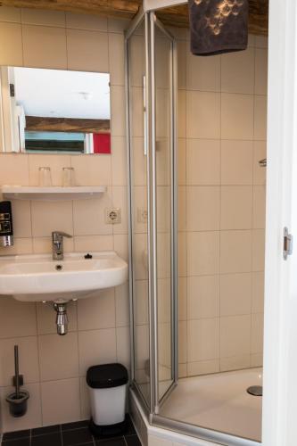 a bathroom with a shower and a sink at 't Brouwershuis in Leende