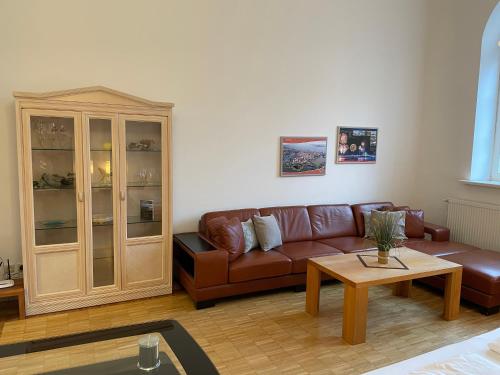 a living room with a brown couch and a table at City Apartments Altstadt Stralsund in Stralsund