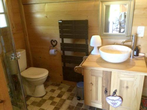 een badkamer met een wastafel, een toilet en een spiegel bij Villa d'une chambre avec piscine privee sauna et jardin clos a Allinges in Allinges