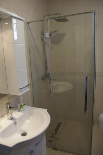 a bathroom with a glass shower and a sink at Engora 5 in Petrovac na Moru