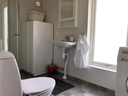 une petite salle de bain avec un lavabo et des toilettes dans l'établissement Modern lakeside cottage & boat near Isaberg, à Kävsjö