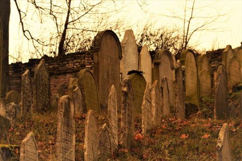 a row of gravestones in an old cemetery at Penzion David in Třešť