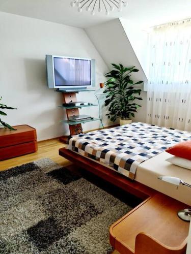 luxury 4 bedroom roof apt with 3 balconies & view