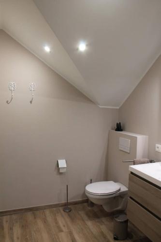 a bathroom with a toilet and a sink at La Veraison in Malmedy