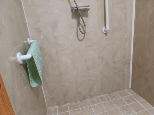 a bathroom with a shower with a green towel at Rathgillen Lodge in Nobber