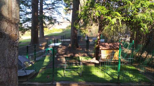 a fence with tables and chairs in a park with trees at "La Selvetta" bed and breakfast in Buguggiate