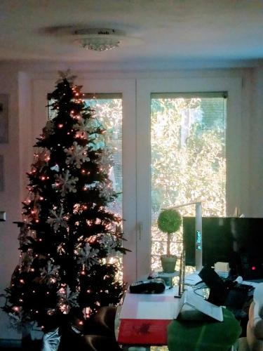 a christmas tree in the corner of a living room at "La Selvetta" bed and breakfast in Buguggiate