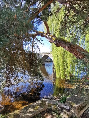un pont sur une rivière avec un arbre au-dessus de celle-ci dans l'établissement Splendide Maison 5 chambres ! Quartier Historique, à Limoges