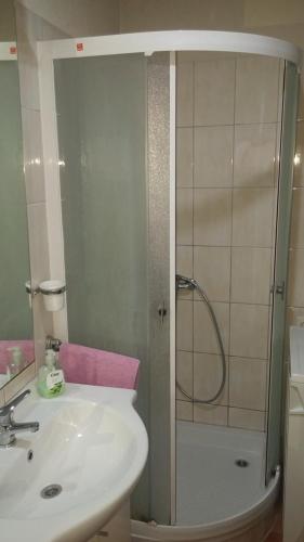 a bathroom with a shower and a sink and a shower at Apartment Dante in Tisno
