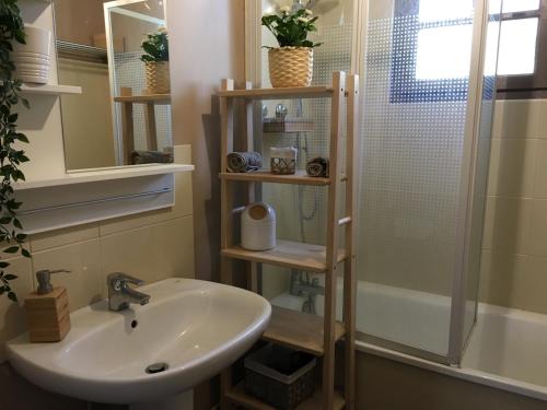 a bathroom with a sink and a shower at gîte le couraduque avec bain nordique et sauna en pleine montagne in Arrens-Marsous