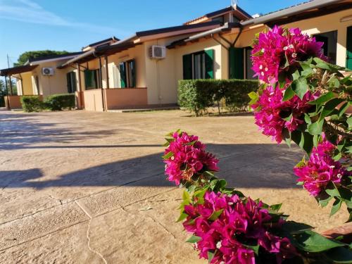 a bunch of pink flowers in front of a building at Le Zagare Case Vacanza in Cropani