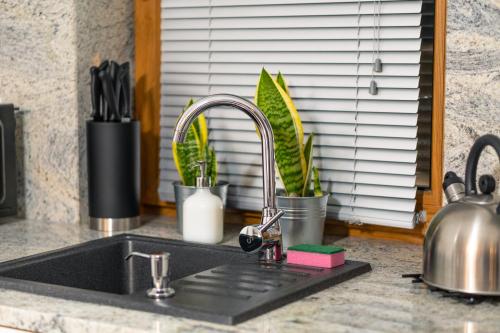 a kitchen sink with a faucet and some plants at Chata Stylchyn in Kluszkowce