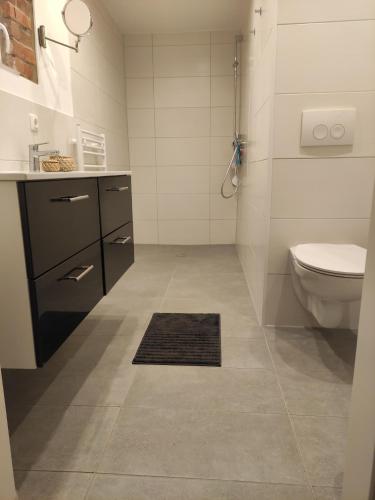 a bathroom with a toilet and a sink at Ferienwohnung auf dem Pferdehof in Sumte
