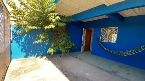 a blue room with a tree in the corner at Residencial Praia Quente casas in Nova Viçosa