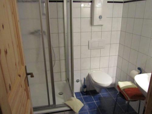 a small bathroom with a toilet and a shower at Alluring Apartment in Rerik Germany with Terrace in Rerik