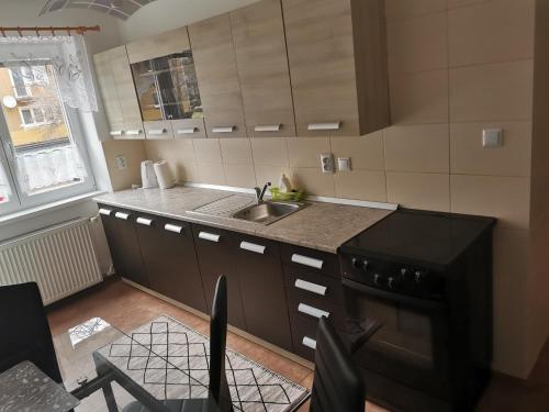 uma pequena cozinha com um lavatório e um fogão em Old Town Home em Liptovský Mikuláš