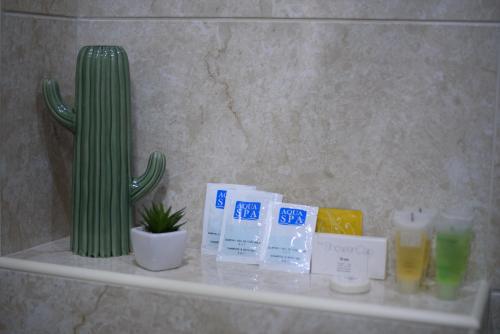 a shelf with a cactus and other items on it at Apartman Jaman - Novi Pazar in Novi Pazar