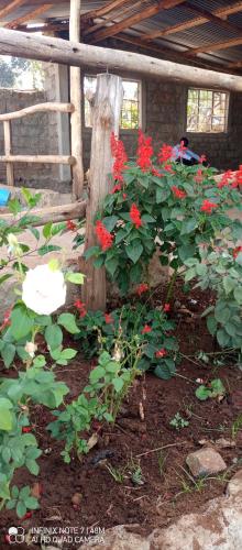 Sebei Resort Hotel – Photos 4
