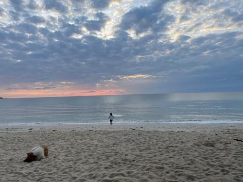 a person and a dog on a beach with the ocean at Bonny Hotel 4 Floors No Elevator in Lamai