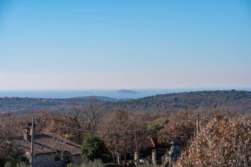 Villa Zelena – Photos 2