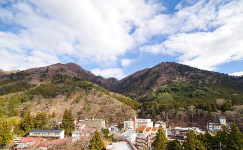 une ville avec des montagnes en arrière-plan dans l'établissement Shiobara Onsen Yashio Lodge, à Nasushiobara